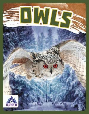 Owls de Golriz Golkar