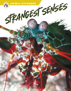 Strangest Senses de Ashley Gish