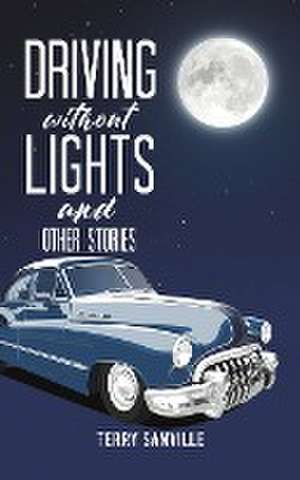 Driving Without Lights and Other Stories de Terry Sanville