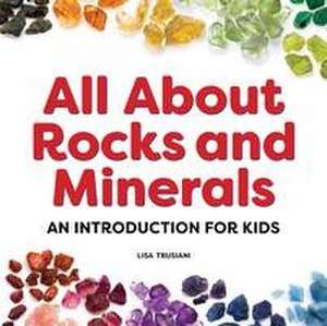 All about Rocks and Minerals de Lisa Trusiani