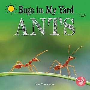 Ants de Kim Thompson