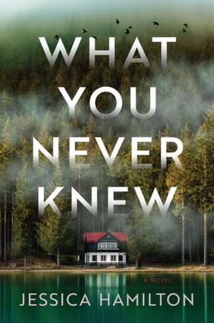 What You Never Knew: A Novel de Jessica Hamilton