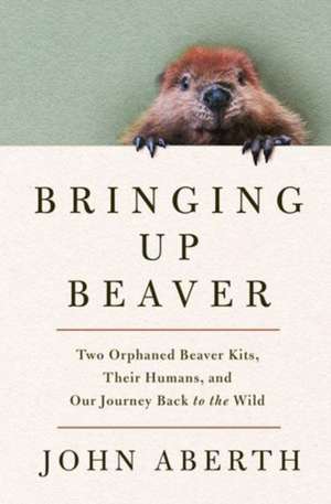 Bringing Up Beaver de John Aberth