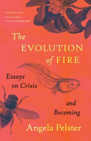The Evolution of Fire de Angela Pelster