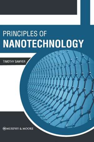 Principles of Nanotechnology de Timothy Sawyer