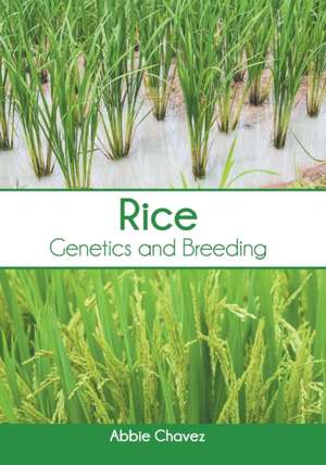 Rice: Genetics and Breeding de Abbie Chavez