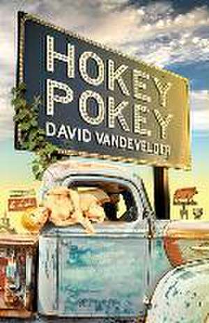 Hokey Pokey de David Vandevelder