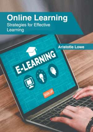 Online Learning: Strategies for Effective Learning de Aristotle Lowe