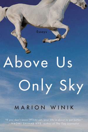 Above Us Only Sky: Essays de Marion Winik