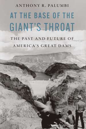 At the Base of the Giant's Throat: The Past and Future of America's Great Dams de Anthony R. Palumbi