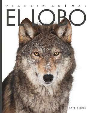 El Lobo de Kate Riggs