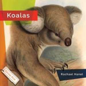 Koalas de Rachael Hanel