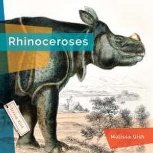 Rhinoceroses de Melissa Gish