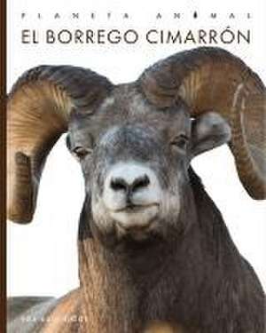 El Borrego Cimarrón de Kate Riggs