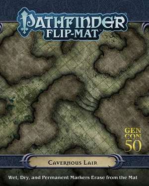 Pathfinder Flip-Mat: Cavernous Lair de Jason A. Engle