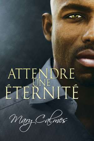 Attendre une ternit de Mary Calmes