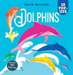 Dolphins de David Hawcock