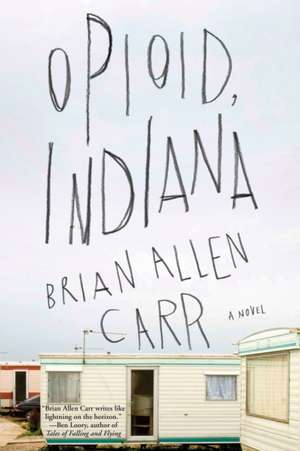 Opioid, Indiana de Brian Allen Carr