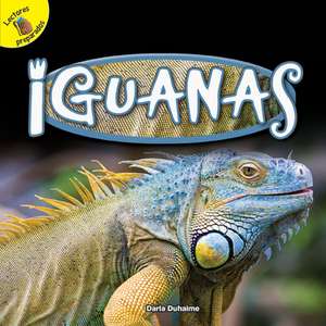 Iguanas de Duhaime