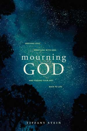 Mourning God de Tiffany Stein