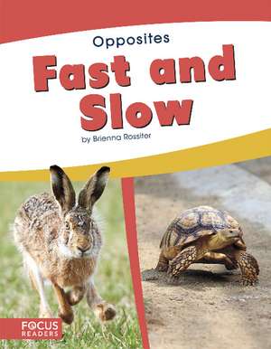 Fast and Slow de Brienna Rossiter