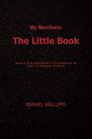 The Little Book de Israel Malupo