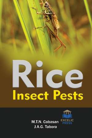 RICE INSECT PESTS de M T N CABASAN