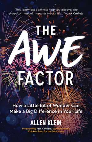 The Awe Factor de Allen Klein