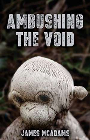 Ambushing the Void de James McAdams