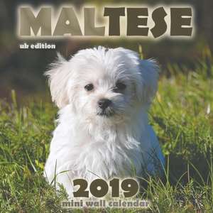 Maltese 2019 Mini Wall Calendar (UK Edition) de Over the Wall Dogs