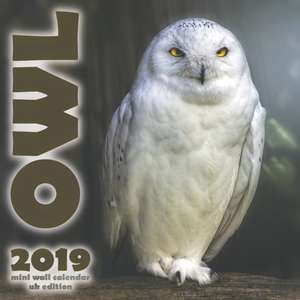 The Owl 2019 Mini Wall Calendar (UK Edition) de Wall Publishing