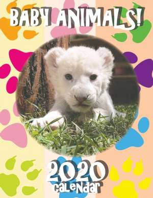 Baby Animals! 2020 Calendar de Sea Wall