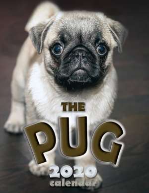 The Pug 2020 Calendar de Over the Wall Dogs