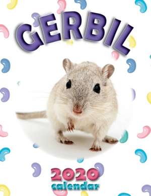 Gerbil 2020 Calendar de Wall Publishing