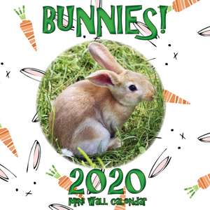 Bunnies! 2020 Mini Wall Calendar de Sea Wall