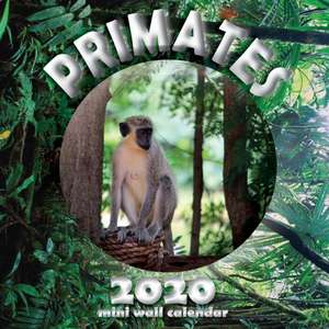 Primates 2020 Mini Wall Calendar de Wall Publishing