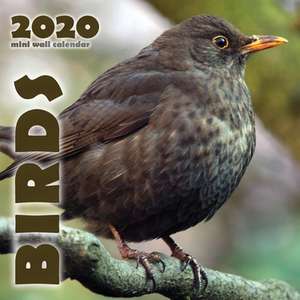 Birds 2020 Mini Wall Calendar de Wall Publishing