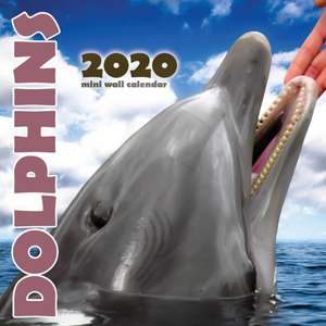 Dolphins 2020 Mini Wall Calendar de Wall Publishing