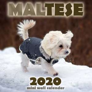 Maltese 2020 Mini Wall Calendar de Over the Wall Dogs