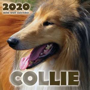 Collie 2020 Mini Wall Calendar de Over the Wall Dogs