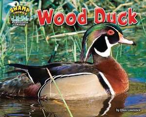 Wood Duck de Ellen Lawrence