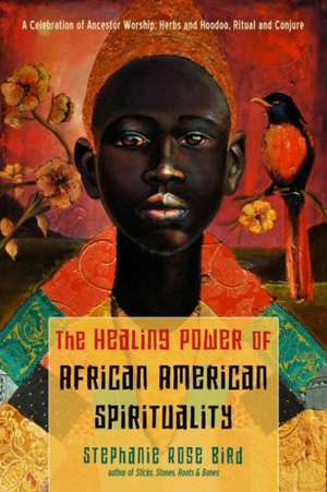 The Healing Power of African-American Spirituality de Stephanie Rose Bird