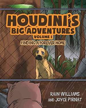 Houdini's Big Adventures de Rain Williams