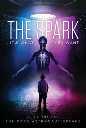 The Spark de The Dark Astronaut