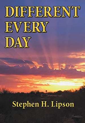 Different Every Day de Stephen H. Lipson