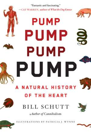 Pump de Bill Schutt