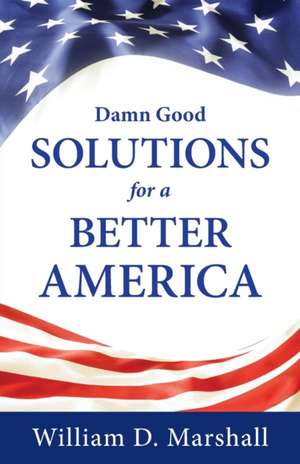 Damn Good Solutions for a Better America de William D. Marshall