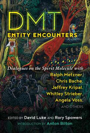 DMT Entity Encounters: Dialogues on the Spirit Molecule with Ralph Metzner, Chris Bache, Jeffrey Kripal, Whitley Strieber, Angela Voss, and Others de David Luke