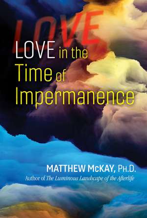 Love in the Time of Impermanence de Matthew McKay