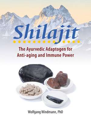 Shilajit: The Ayurvedic Adaptogen for Anti-aging and Immune Power de Wolfgang Windmann